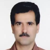 دکتر محمدتقی گرجی