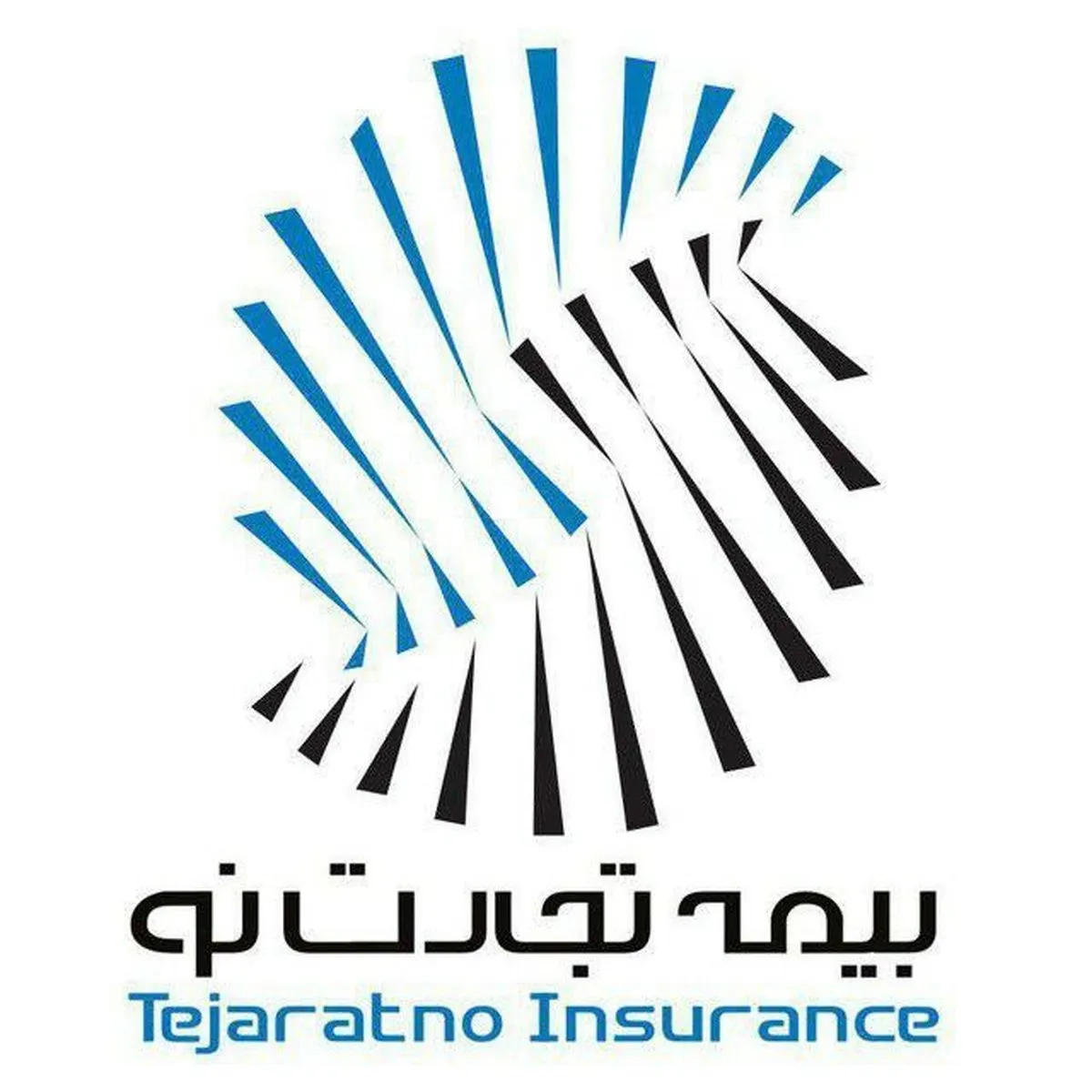 بیمه تکمیلی تجارت نو