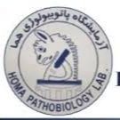 آزمایشگاه هما تهران