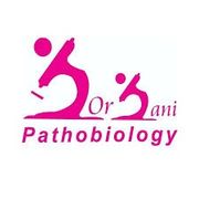 آزمایشگاه جرجانی ورامین