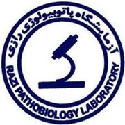 آزمایشگاه رازی خرمدره