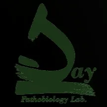 آزمایشگاه دی برازجان