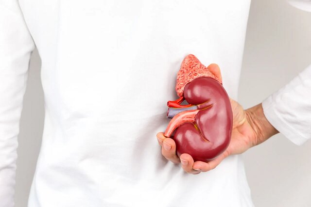 liver-kidney-test-interpretation-full-guide-4