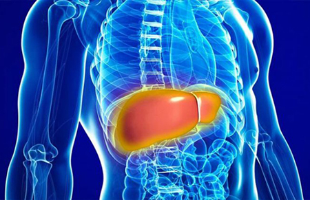 liver-kidney-test-interpretation-full-guide-6