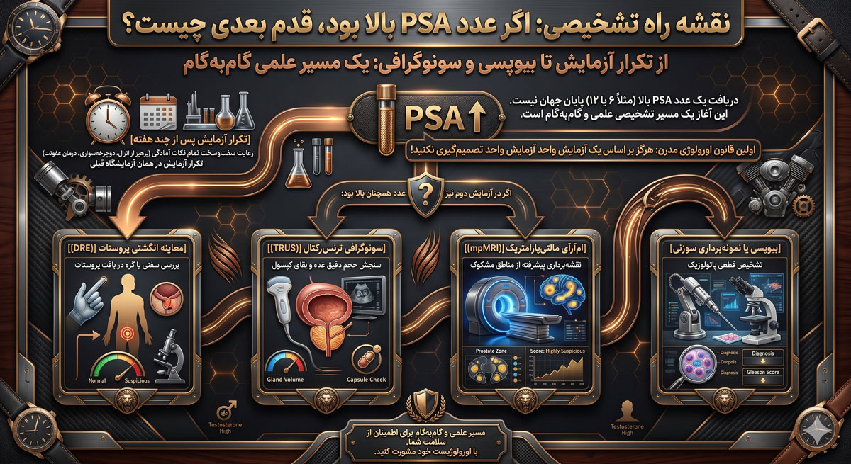 prostate-psa-test-interpretation-infographic